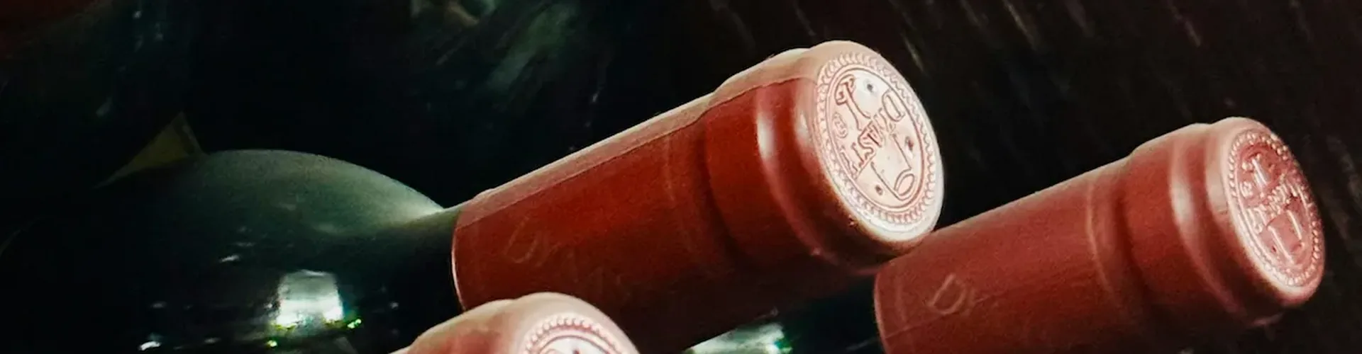 Vignobles de Bordeaux — Saint-Émilion, Pauillac, Pomerol